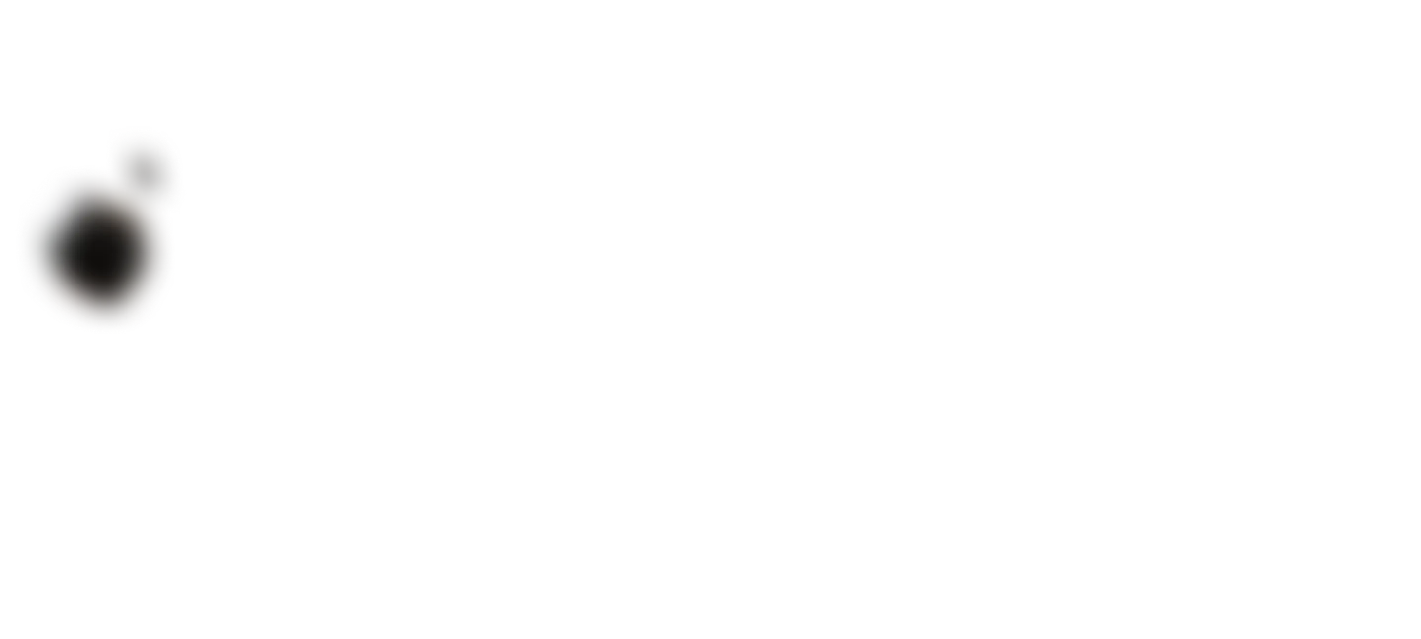 stone image